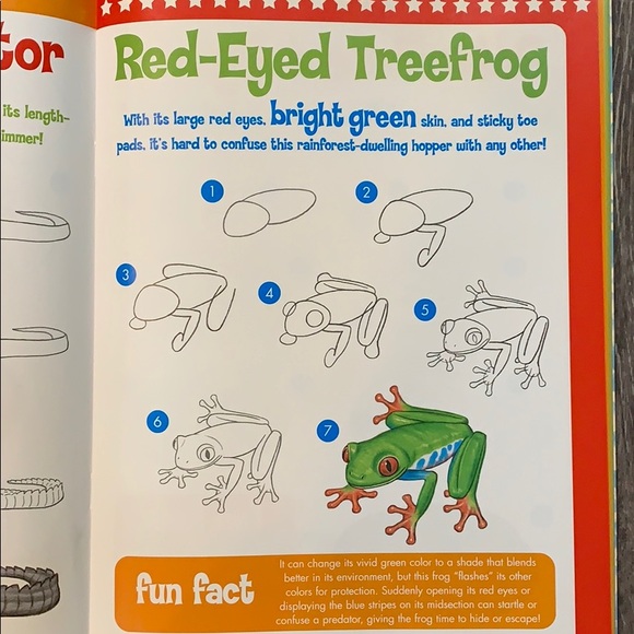 Set of 2 Learn to Draw Books - Picture 4 of 6